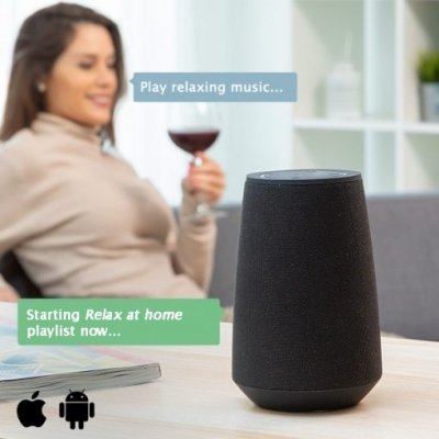 InnovaGoods Bluetooth Voice Assistant Speaker